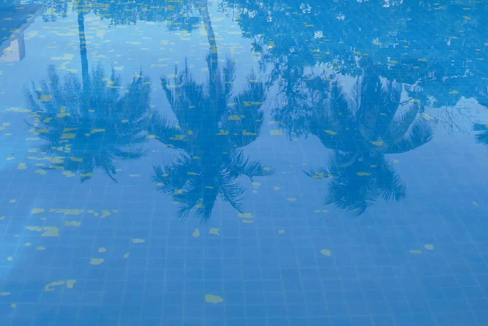 Marin Spa